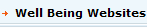 Well Being Websites (2)