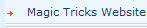 Magic Tricks Website